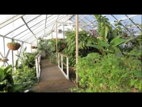 ZB 18ser - Interesantie tauriņi