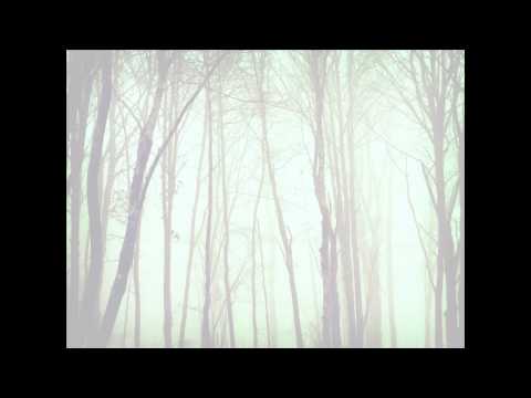 The Wandering Tree - Hymns For The Darkened [LYRICS]