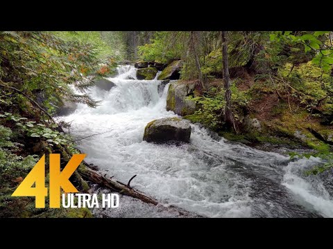 4K meža ūdenskritumi pie burvju ezeru takas - ūdenskrituma dabiskās skaņas - piekabe