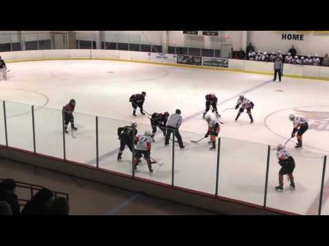 02 Novi Firecats vs. Flint Jr. Firebirds - 2nd Period - 3/6/2016