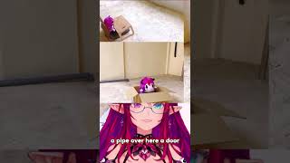 【Hololive】IRYS LIFE BEFORE DEBUT #vtuber #hololive