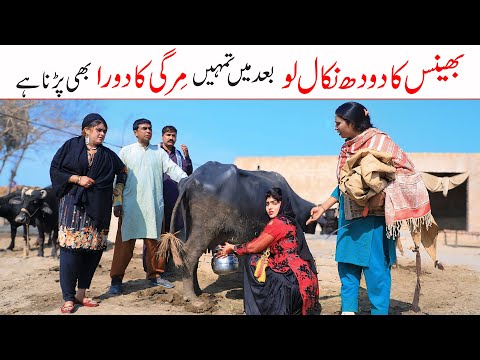 Viral Video 2025 | Ramzi,Noori, Bilo ,Bhootna,Shoki, Sanam, Falak Sher,Funny Video  Rachnavi Tv