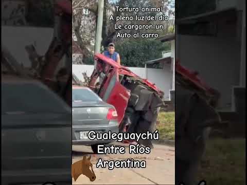 Comentar y difundir por favor 🙏 #Gualeguaychú #entrerios #entreriosargentina