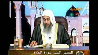 منوعات 412  تفسير سورة البقرة من الاية 243