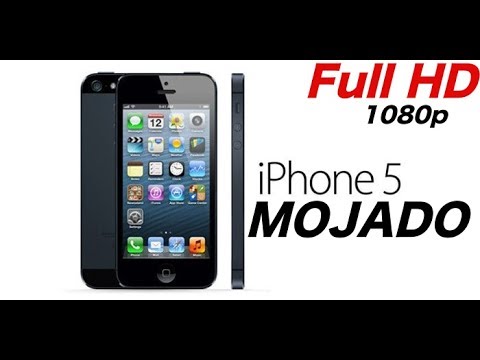 Samsung S6 Edge water damage repair