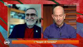 8 gennaio 2021