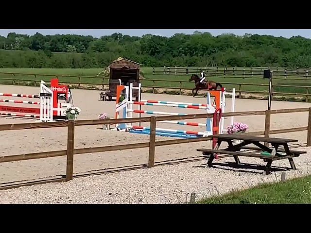 Jument de sport de 6ans 