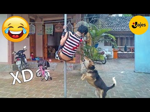 SI TE RÍES PIERDES NIVEL DIOS #136 🤣 VIDEOS DE RISA MUY GRACIOSOS 2025 🤣