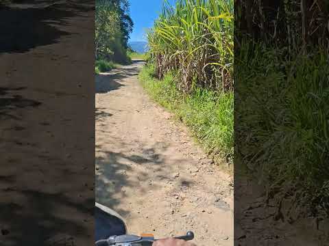 que tal la via san lorenzo nariño a santha marta nariño da pudor esta carretera #ㅇyㅇ