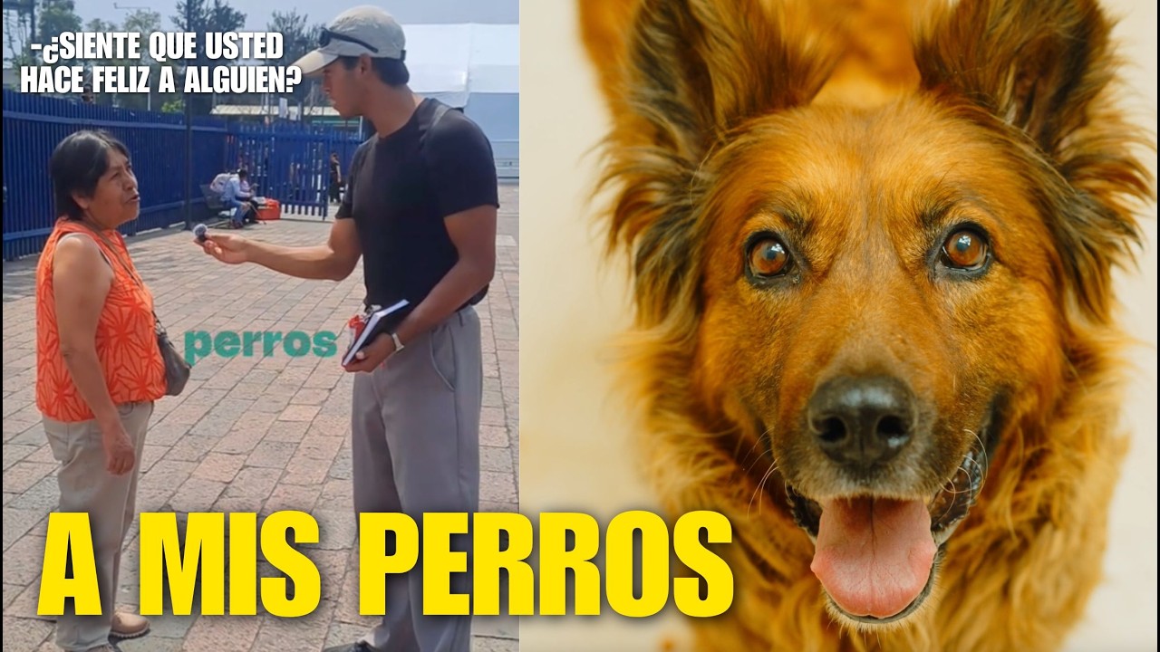 ¿Siente que usted hace feliz a alguien? Si a mis perros