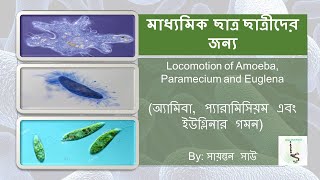 জীবনজগতে নিয়ন্ত্রণ ও সমম্বয় : অ্যামিবা, প্যারামিসিয়ম এবং ইউগ্লিনার গমন