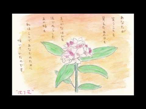 ♪「誕生」/まきちゃんぐ