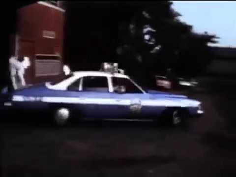 Serial killers (O Filho do Sam)