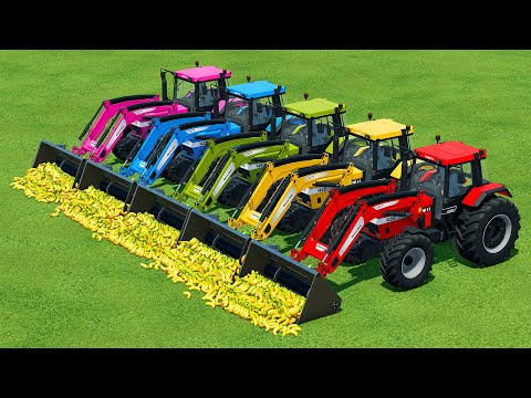LOADING & TRANSPORTING BANANAS WITH CASE TRACTORS - Farming Simulator 22