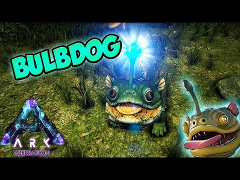 TAMEANDO BULBDOG (EL PERRO PIRAÑA) | ARK ABERRATION |