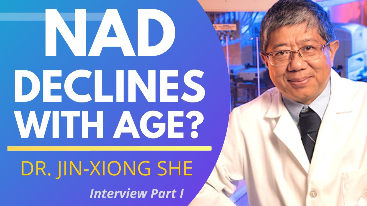 The NAD+ Optimization Blueprint: Why Testing Beats Guessing for Cellular Energy