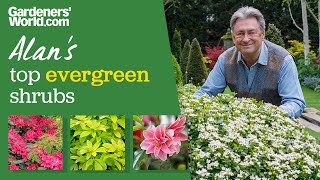 Five evergreen shrubs | Alan Titchmarsh