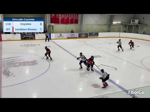 Elmvale Coyotes U15B vs Lambton Shores Predators (XbotGo-Recorded)