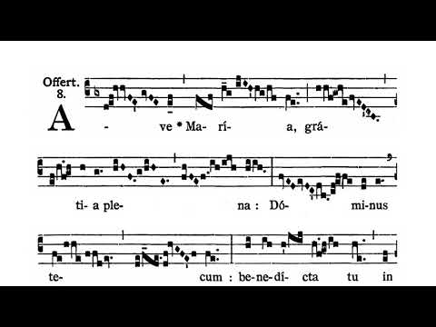 Immaculate Conception of the Blessed Virgin Mary - Offertorium (Ave Maria)