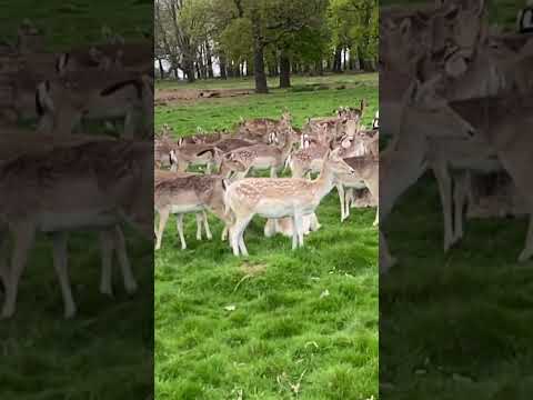 Love to explore the nature