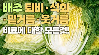 배추 비료 퇴비 석회에 대한 모든 것! 전문가의 노하우 총정리