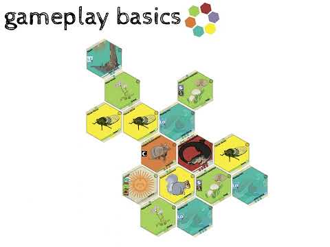 How To Play kCaloria