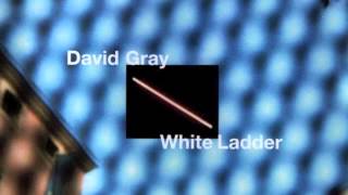 David Gray - Silver Lining (Official Audio)