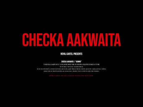Phatboy Lutor feat. DJ Flow & Krumblez - Checka Aakwaita (Official Trailer)