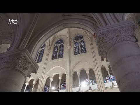 Révéler le mystère : à Notre-Dame de Paris, l’aménagement sonore et visuel commence