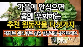 가을에 안심으면 봄에 후회하는 추천 월동작물 다섯가지 - 재배도 쉽고 맛도 좋은 월동작물 심어보세요