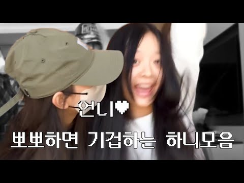 아이콘
