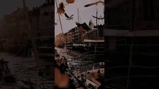 Download lagu vizhigalil varugira vaanavillai whatsapp status lyrics tamil 💯😍 | #tamilstatus #status #shorts mp3