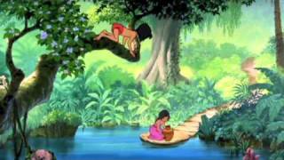 Amedeo Minghi  -  &quot;Un Solo Amore Al Mondo&quot;