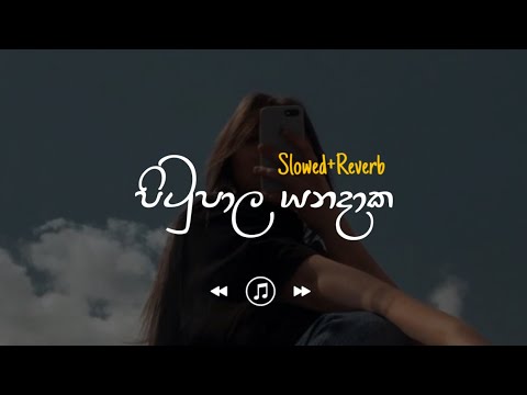 Pitupala Yana Daka - පිටුපාල යන දාක (Slowed+Reverb)