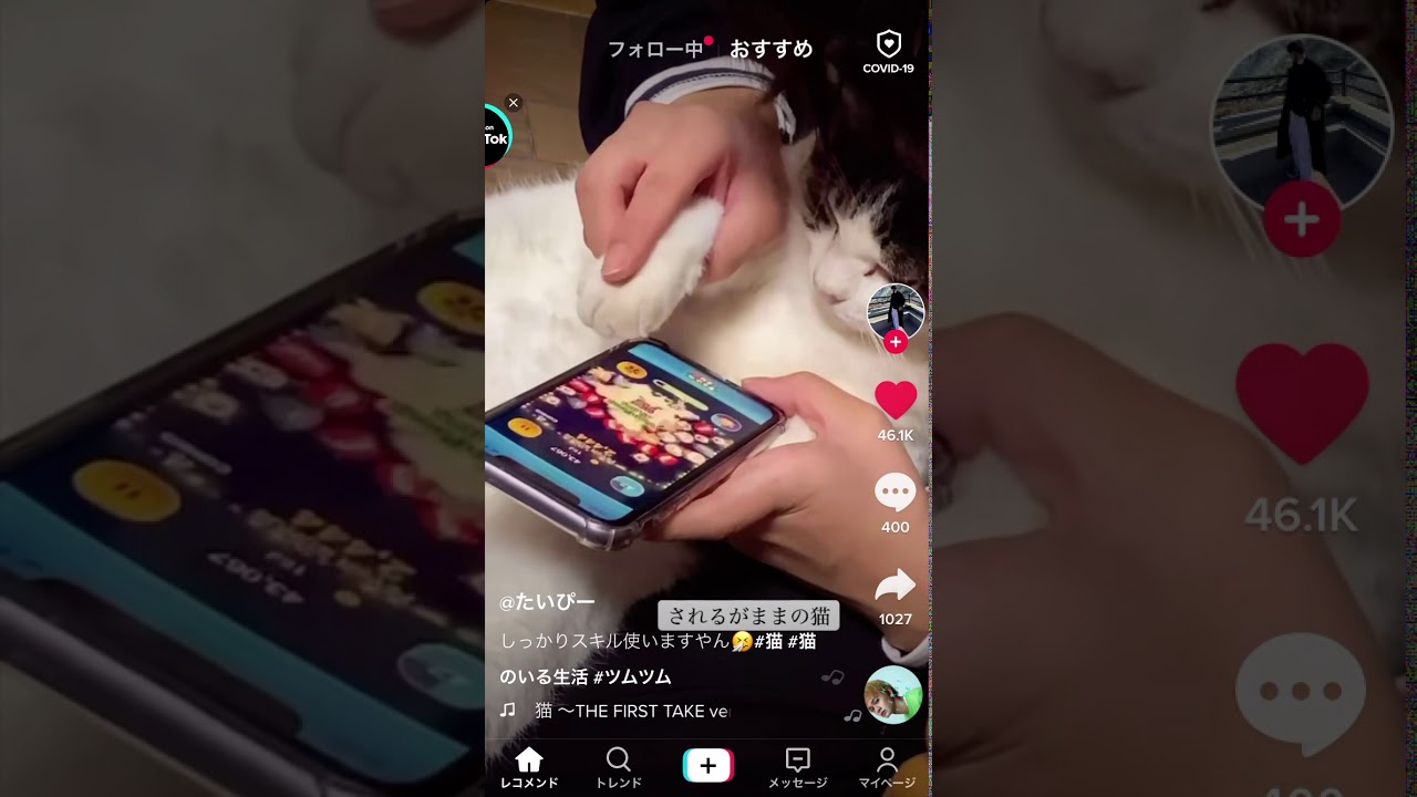 [TikTok] 猫がツムツム