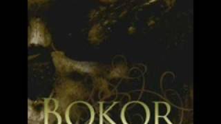 Bokor - Anomia 1 - 05. Migrating (Part II)