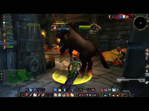 Burg Schattenfang - Gildenrun - Priest PoV (WoW Classic)