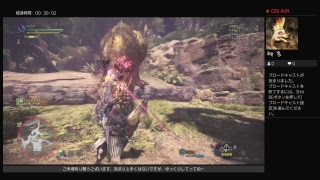 ［MHW］ランスの練習～