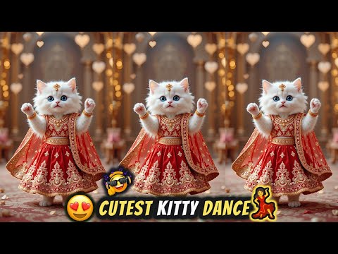 Cat videos funny dance 🤩💃🐾 Videos for cats | बिल्ली डांस | Funny cats #funny #dancingcat #cat