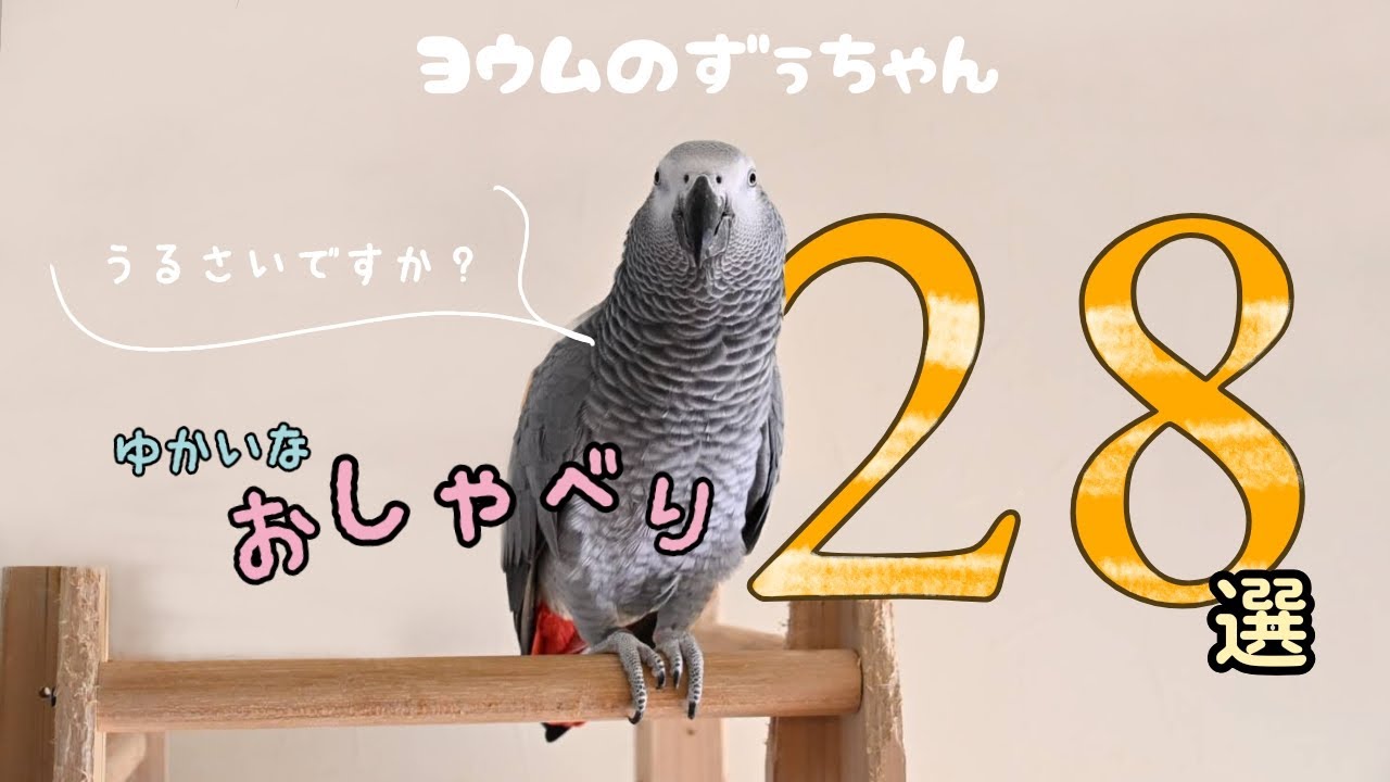 【爆笑】中に人いる？愉快すぎるお喋り小ネタ集！