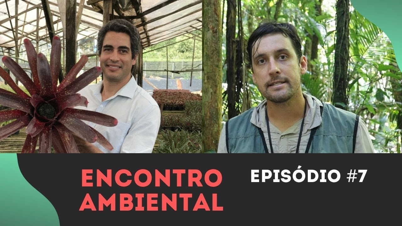 🔴 RICARDO CARDIM: USO DE PLANTAS NATIVAS NA ARBORIZAÇÃO EM ESPAÇOS URBANOS | ENCONTRO AMBIENTAL #7