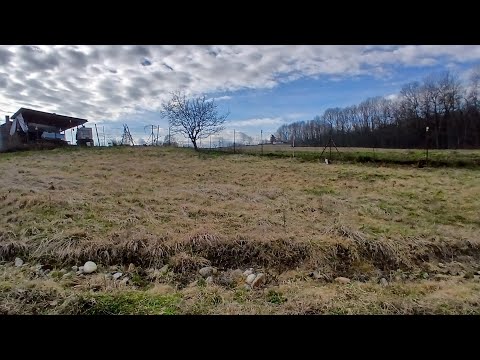 Una palestra a tutto campo
