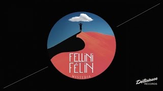 Fellini Félin - Turn Me On The Other Side