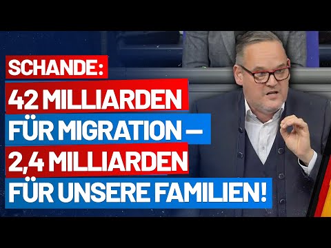 42 Milliarden für Migration und 2,4 Milliarden für unsere Familien! Martin Reichardt - AfD-Fraktion