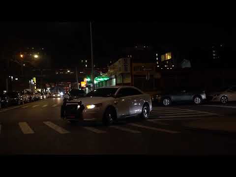 Arham❌ Tali Goya- "Cinta Amarilla" (Video Oficial)