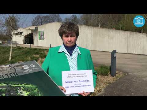Messel Pit Fossil Site - Site management during COVID-19 pandemic