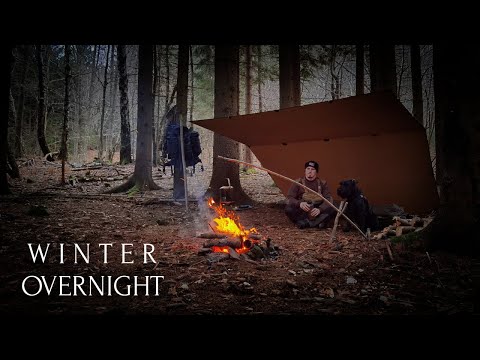 2 DAY SOLO Winter Bushcraft in Bear Country - Moss Bed - Chili Con Carne