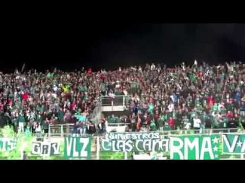 "Vamos caturro hay que poner mas huevo" Barra: Los Panzers • Club: Santiago Wanderers • País: Chile