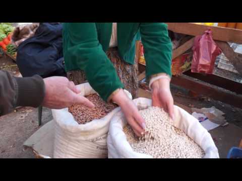 Drane Xhai & Muhamet Cekini - Grosha