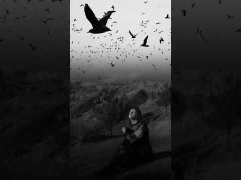 #cytat#hejt#zazdrość#życie#przesłanie#dlaciebie